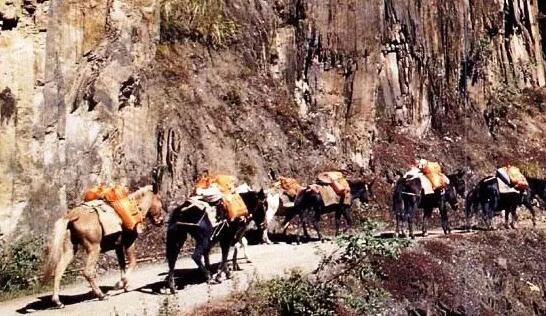 茶馬古道(dào)：普洱茶文(wén)化(huà)之魂(圖1)