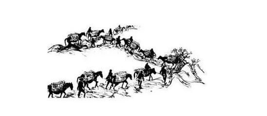 茶馬古道(dào)：普洱茶文(wén)化(huà)之魂(圖3)